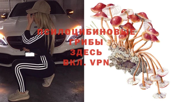 ешки Аркадак