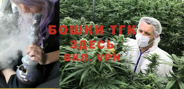 меф Арсеньев