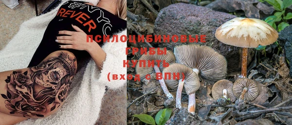 ешки Аркадак
