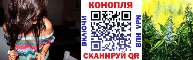 Бошки Шишки White Widow  Купить  Новый Оскол 